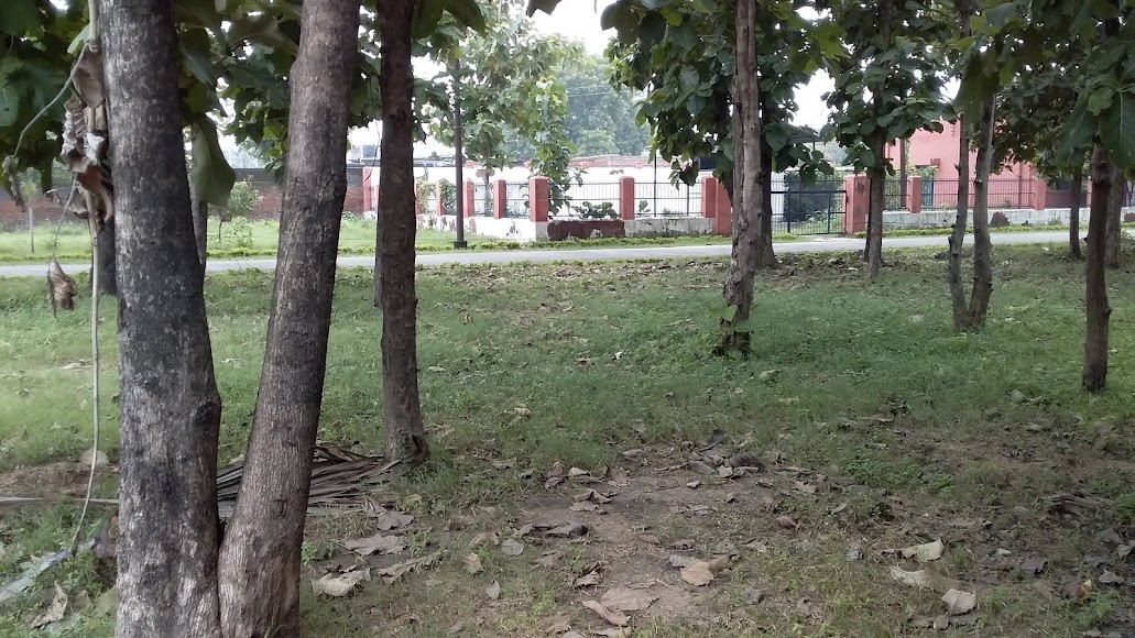 NIELIT Gorakhpur Image 13