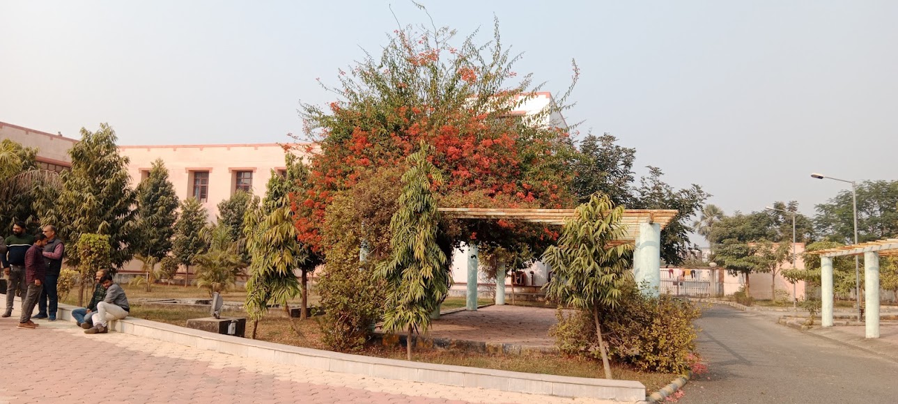 NIELIT Patna Image 22