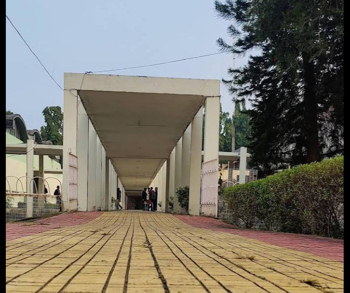 NIFFT Hatia Image 20