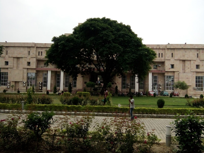 MNNIT Allahabad Image 16