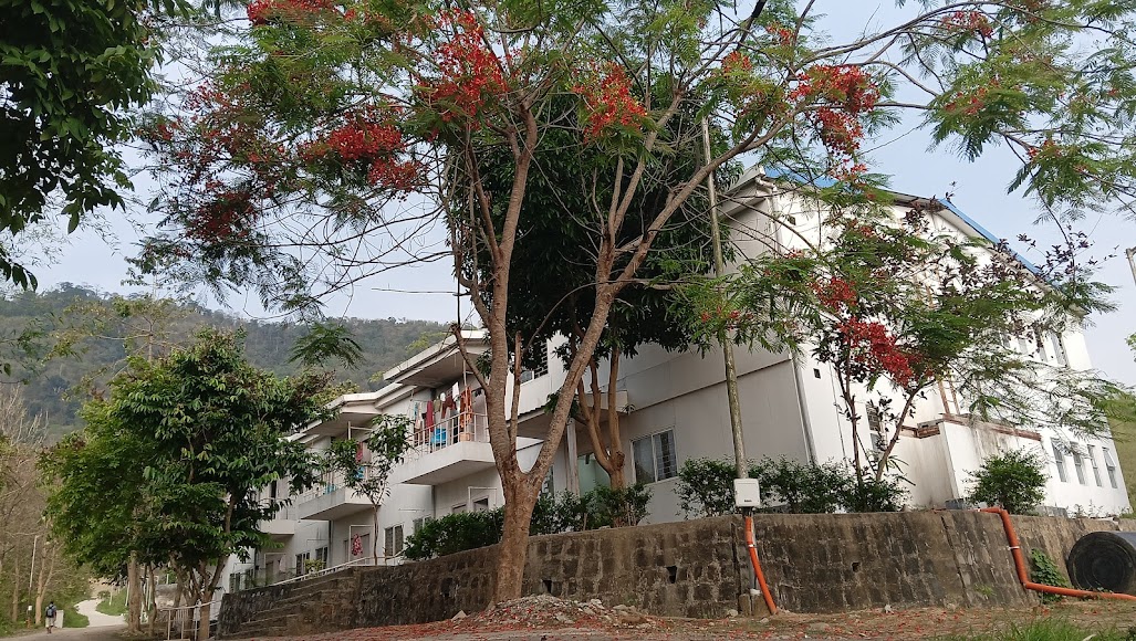 NIT Nagaland Image 22