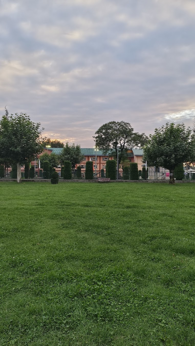 NIT Srinagar Image 7