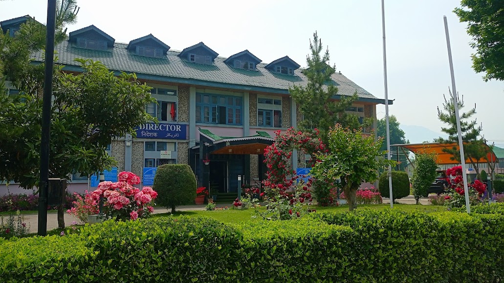 NIT Srinagar Image 13