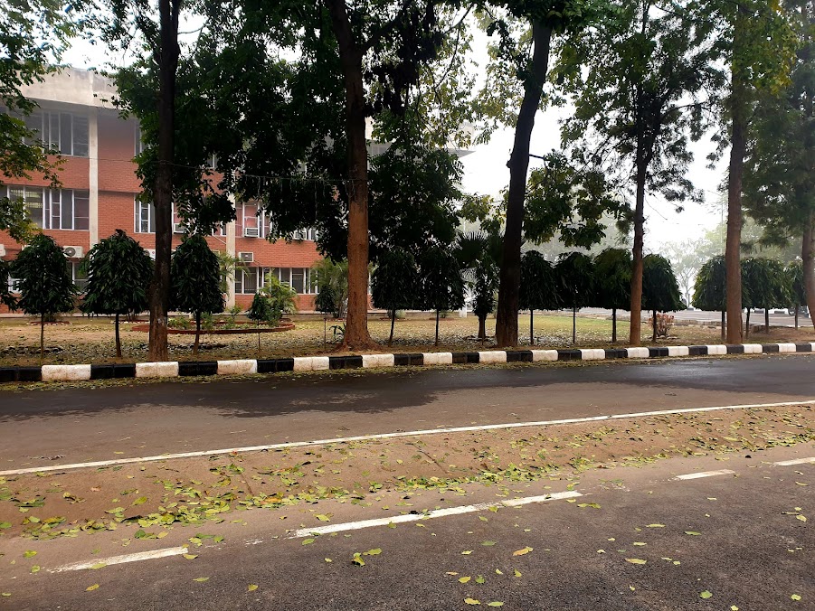 PEC Chandigarh Image 5