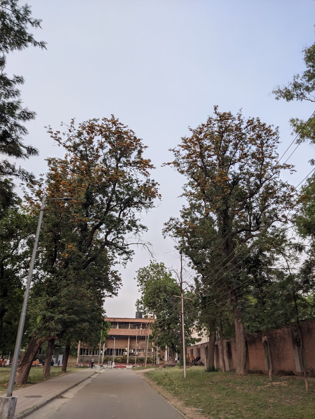 PEC Chandigarh Image 13