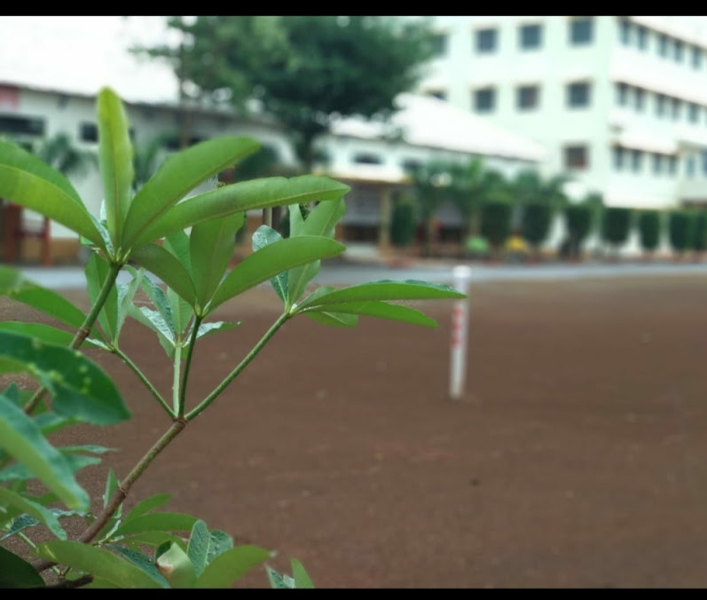 SIT College Pune Image 18