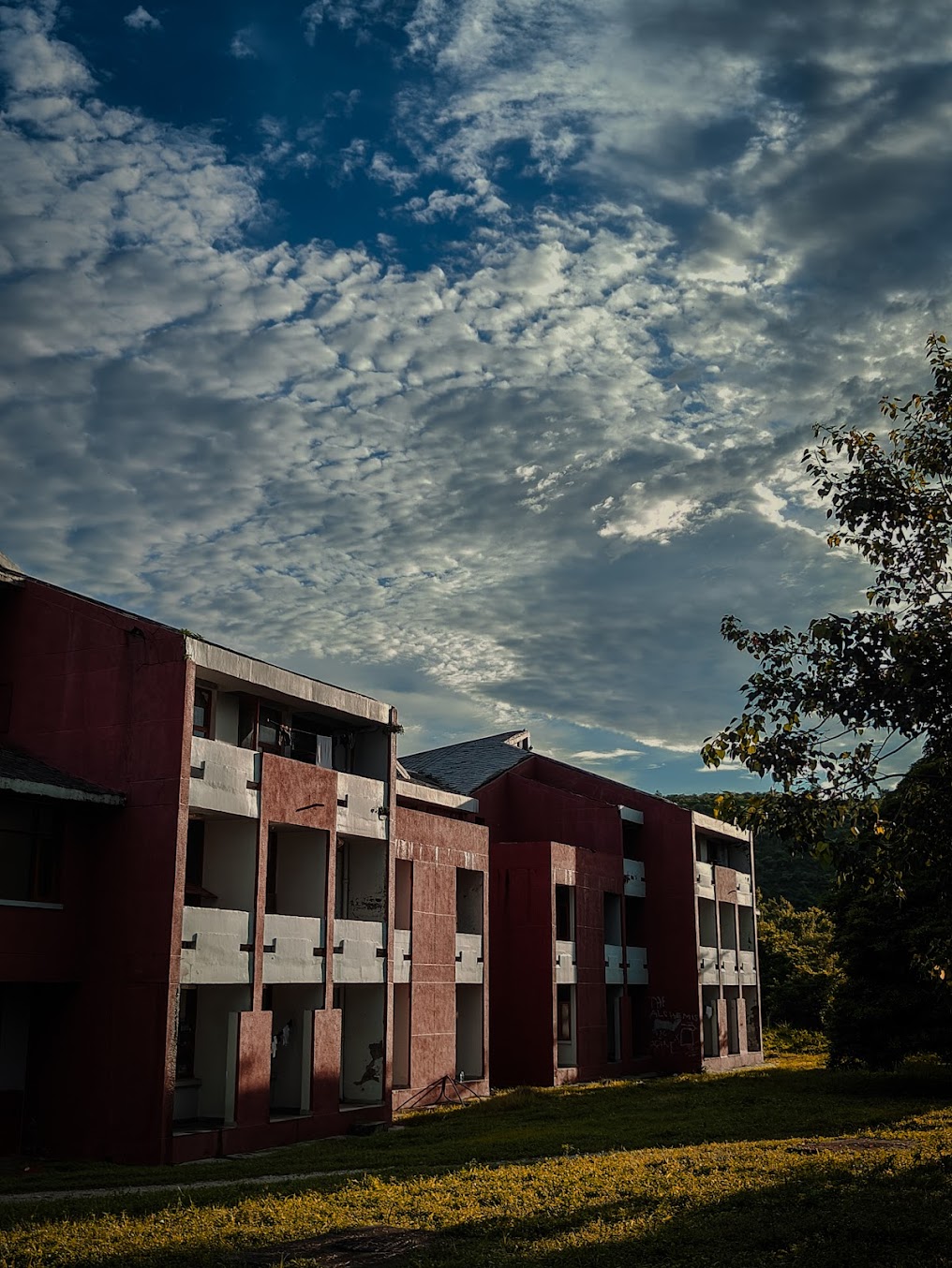 SMVDU Katra Image 11