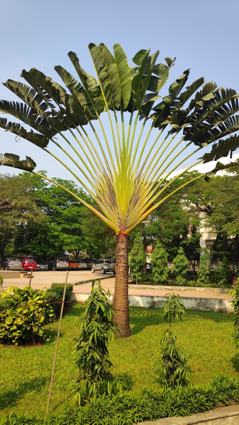 SIES GST Mumbai Image 6